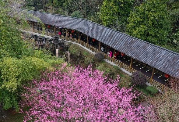 鋼桁架整體提升（鋼桁架整體提升技術(shù)）