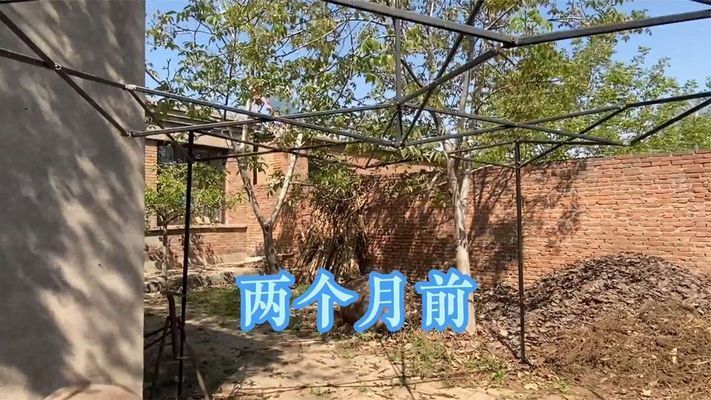 北京房屋改造視頻