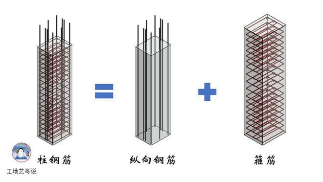 園林設(shè)計屬于哪個專業(yè)學科類別（園林設(shè)計專業(yè)的學生需要具備哪些基礎(chǔ)技能和知識和技術(shù)）