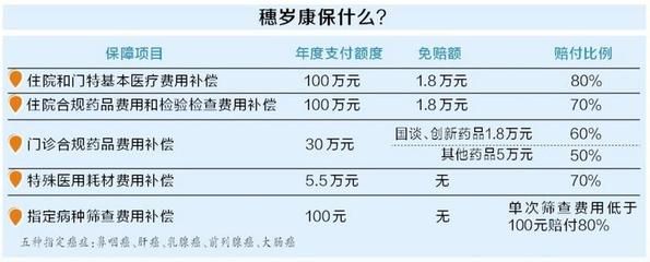 設計項目負責人年齡限制