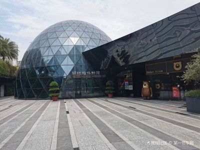 深圳鋼結構博物館在哪里（中國首個以建筑鋼結構為主題的博物館深圳鋼結構博物館）