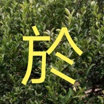 新手學看鋼結構圖紙的最快方法（鋼結構圖紙顯示） 結構機械鋼結構設計 第1張