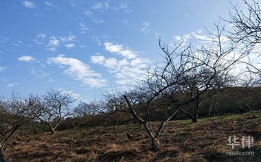 樓房地基下沉怎么賠償（樓房地基下沉的賠償標(biāo)準(zhǔn)是固定的） 結(jié)構(gòu)地下室施工 第3張